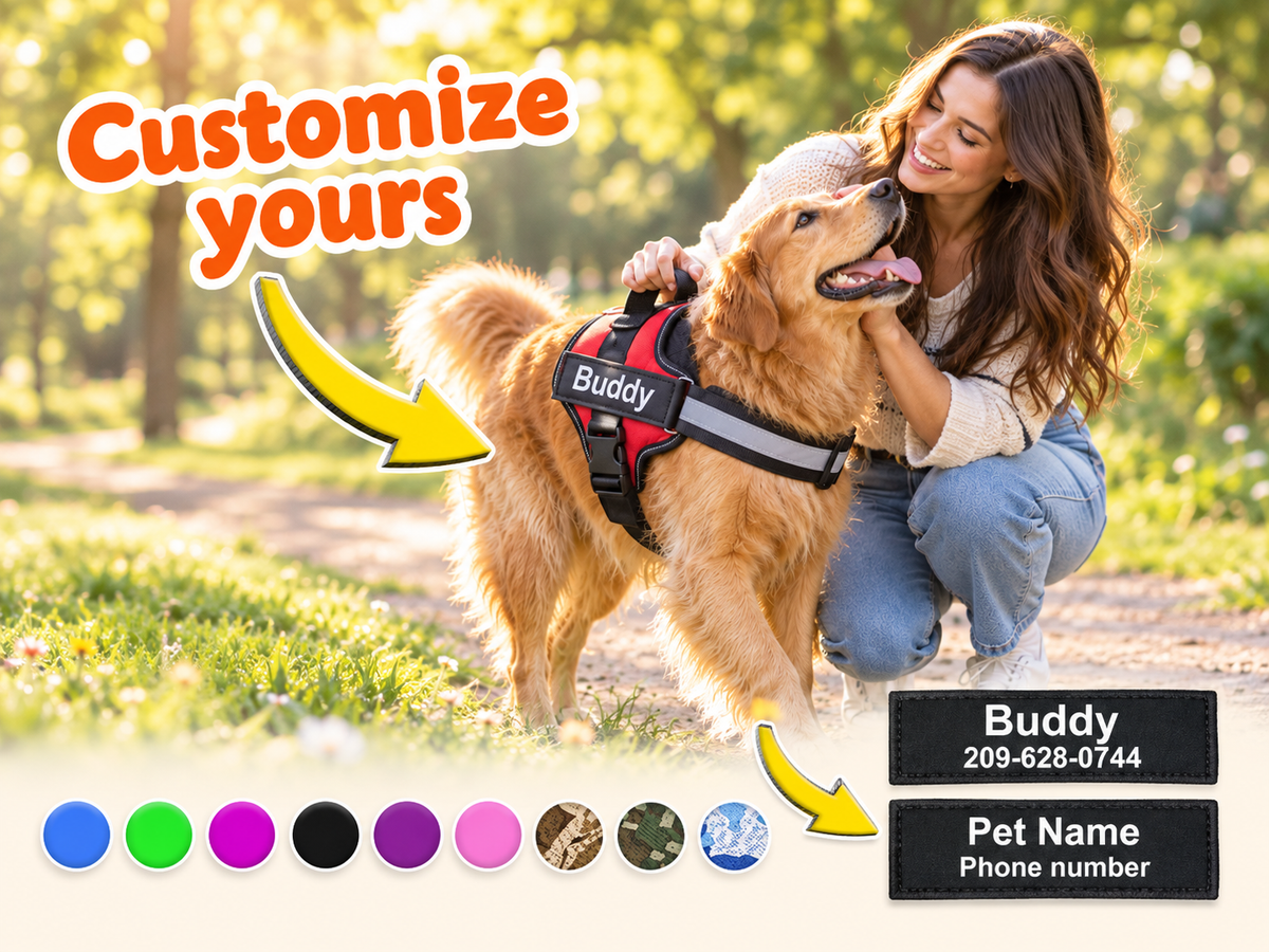No-Pull Dog Harness | Reflective & Breathable | Wiggle & Whisk
