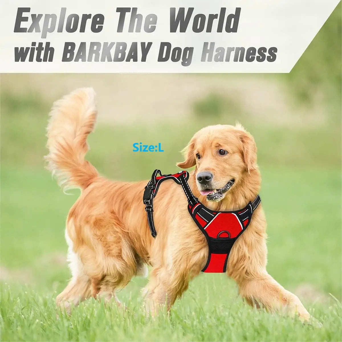 Adjustable No-Pull Dog Harness, Front Clip, Reflective with Handle, for Medium & Large Dogs