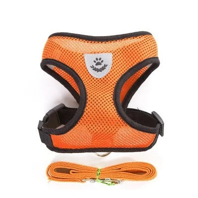 Cat & Dog Harness and Leash Set, Breathable Mesh Vest, Adjustable Reflective, for Small Dogs & Cats