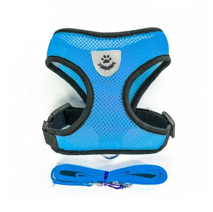 Cat & Dog Harness and Leash Set, Breathable Mesh Vest, Adjustable Reflective, for Small Dogs & Cats