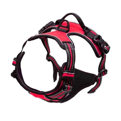 Dog Collar, Harness & Leash Set, Leather Vest for Small, Medium & Large Dogs and Puppies
