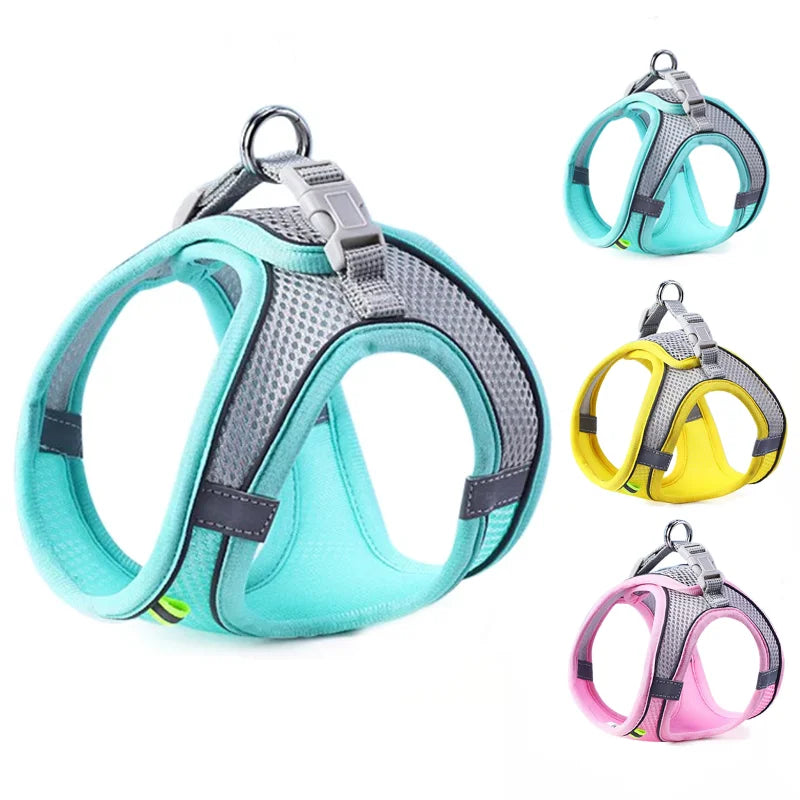 Dog & Cat Harness Leash Set, Reflective Breathable Adjustable Vest for Small & Medium Dogs, Outdoor Walking