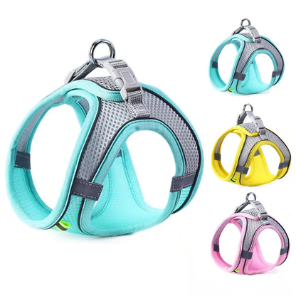 Dog & Cat Harness Leash Set, Reflective Breathable Adjustable Vest for Small & Medium Dogs, Outdoor Walking