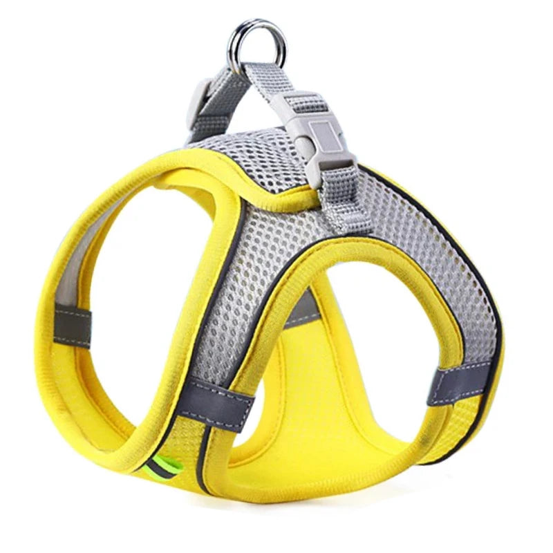 Dog & Cat Harness Leash Set, Reflective Breathable Adjustable Vest for Small & Medium Dogs, Outdoor Walking