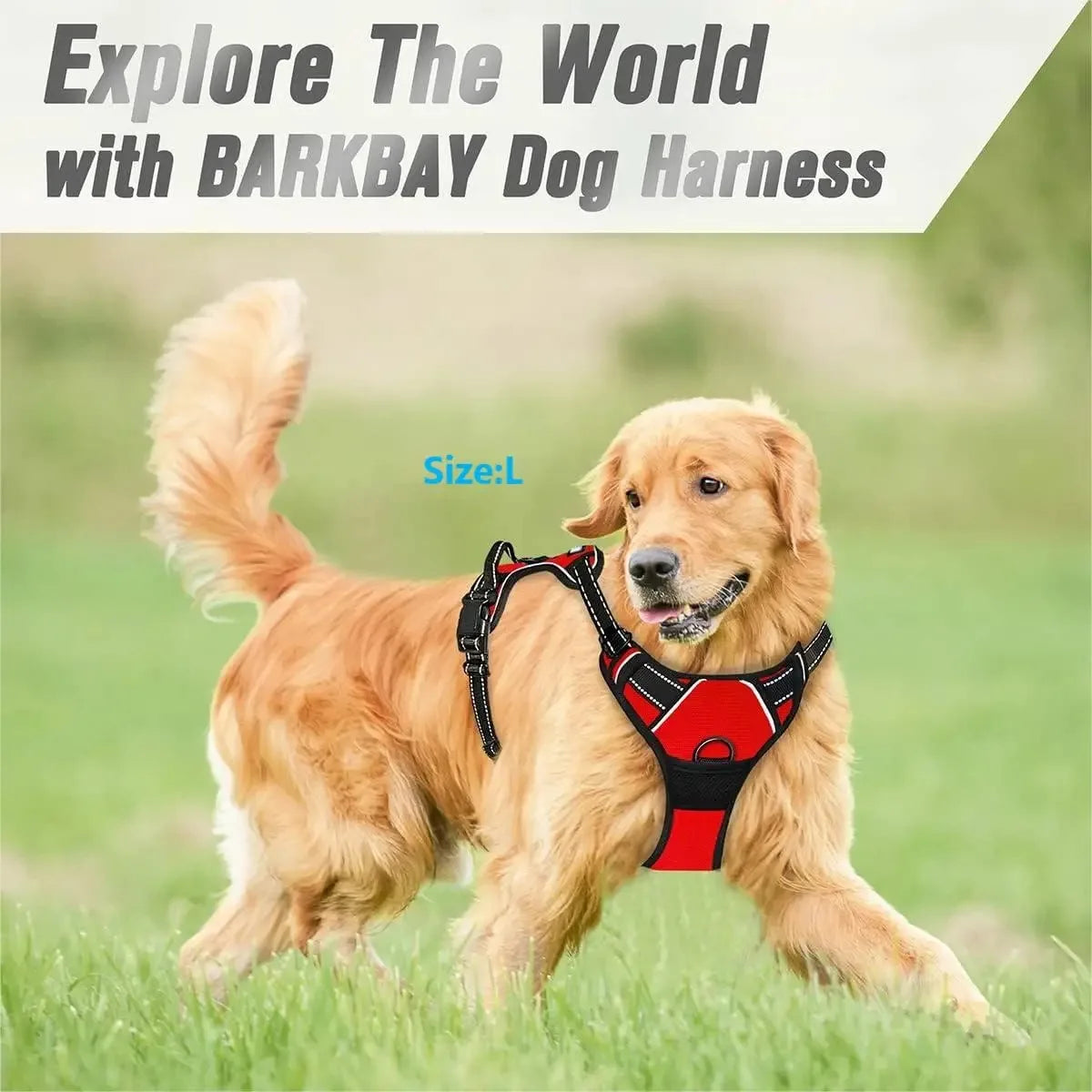 Dog Collar, Harness & Leash Set, Leather Vest for Small, Medium & Large Dogs and Puppies