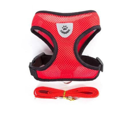 Cat & Dog Harness and Leash Set, Breathable Mesh Vest, Adjustable Reflective, for Small Dogs & Cats