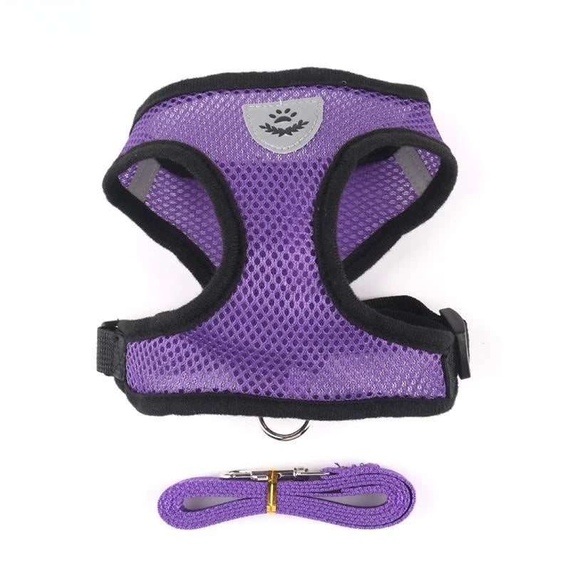 Cat & Dog Harness and Leash Set, Breathable Mesh Vest, Adjustable Reflective, for Small Dogs & Cats