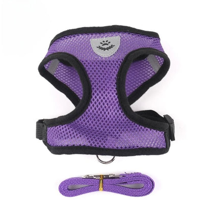 Cat & Dog Harness and Leash Set, Breathable Mesh Vest, Adjustable Reflective, for Small Dogs & Cats