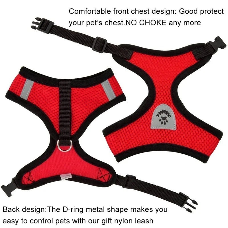 Cat & Dog Harness and Leash Set, Breathable Mesh Vest, Adjustable Reflective, for Small Dogs & Cats
