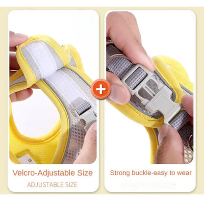 Dog & Cat Harness Leash Set, Reflective Breathable Adjustable Vest for Small & Medium Dogs, Outdoor Walking