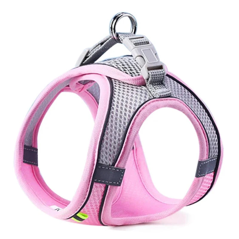 Dog & Cat Harness Leash Set, Reflective Breathable Adjustable Vest for Small & Medium Dogs, Outdoor Walking