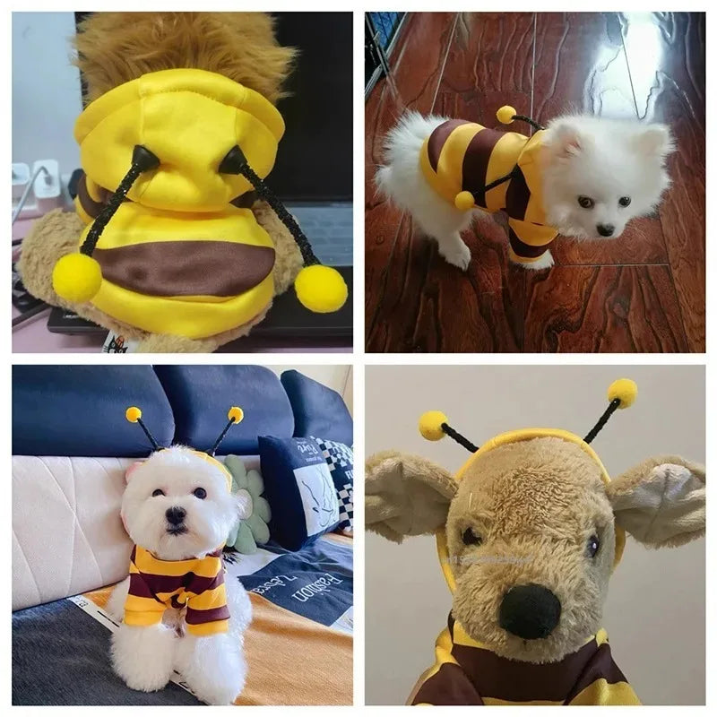 Bee Pet Hoodie – Cute Halloween Costume for Small Dogs & Cats