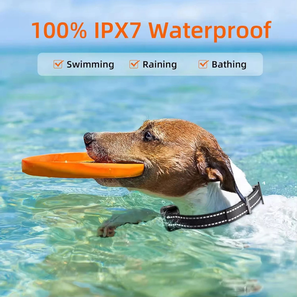 Remote Dog Training Collar - 3300ft Range, Waterproof & Rechargeable