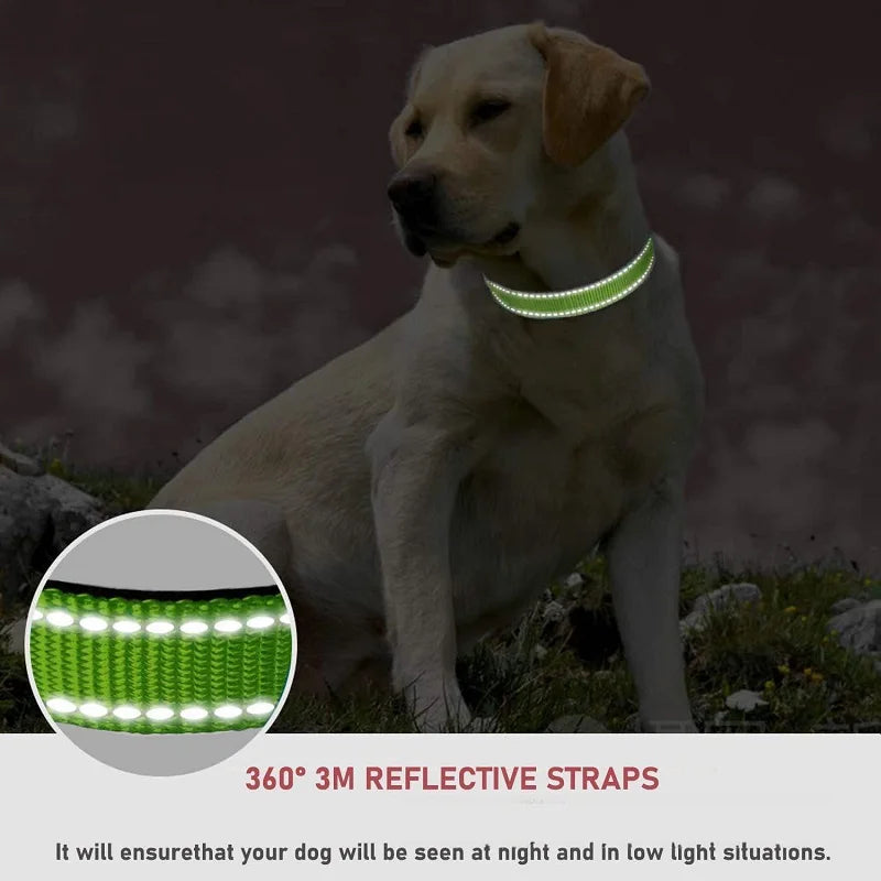 Decorative Choker Dog Collar, Adjustable Neck Collar for Small, Medium & Large Dogs and Puppies