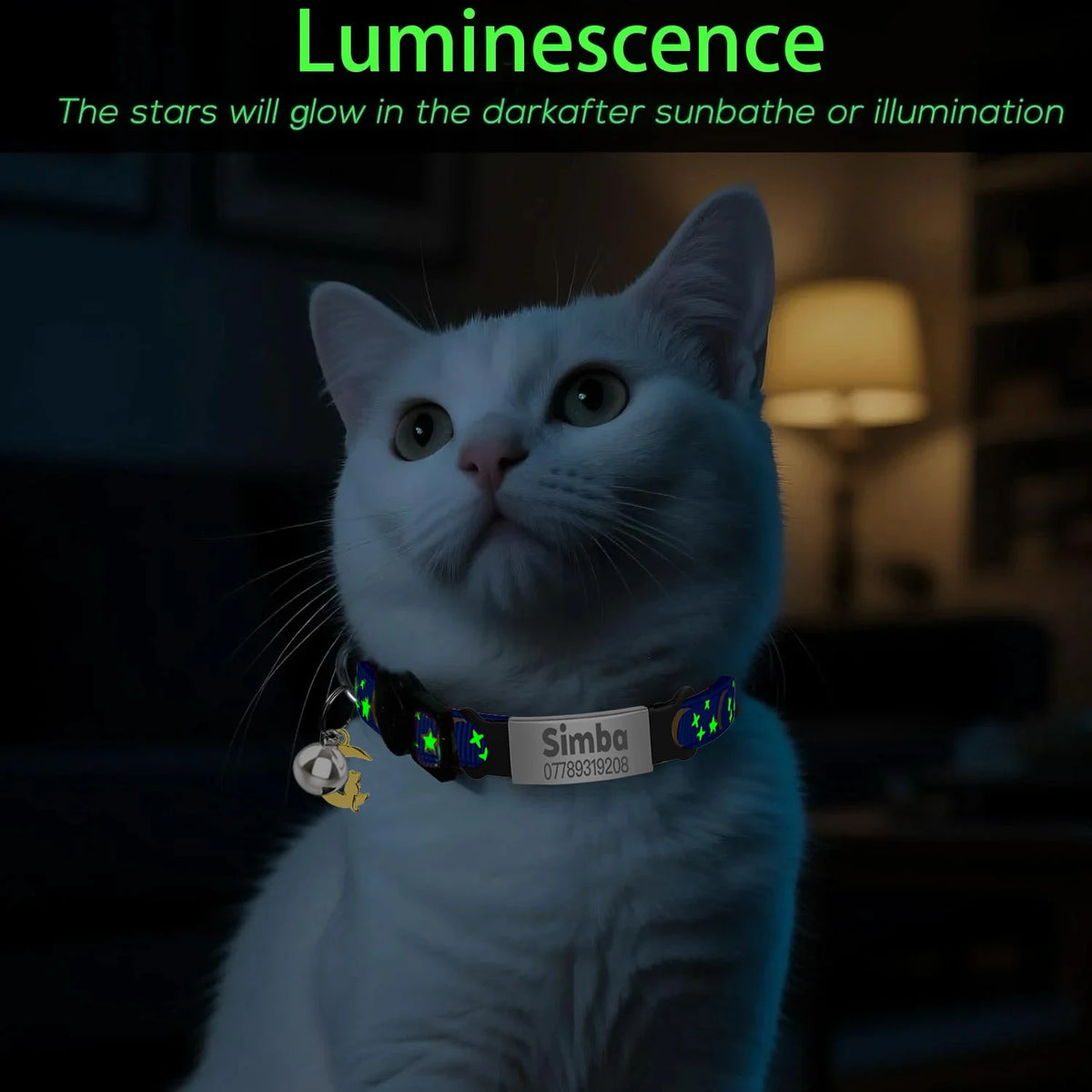 Personalized Cat Collar with Bell, Custom Engraved ID Tag, Glow Anti-Lost Collar for Kittens & Puppies