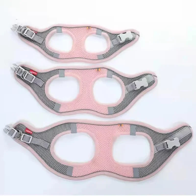 Dog & Cat Harness Leash Set, Reflective Breathable Adjustable Vest for Small & Medium Dogs, Outdoor Walking