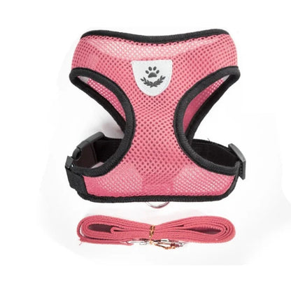 Cat & Dog Harness and Leash Set, Breathable Mesh Vest, Adjustable Reflective, for Small Dogs & Cats
