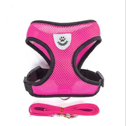 Cat & Dog Harness and Leash Set, Breathable Mesh Vest, Adjustable Reflective, for Small Dogs & Cats