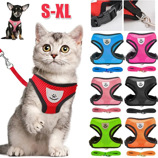 Cat & Dog Harness and Leash Set, Breathable Mesh Vest, Adjustable Reflective, for Small Dogs & Cats