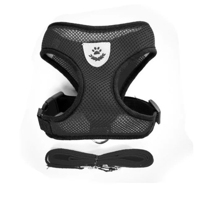 Cat & Dog Harness and Leash Set, Breathable Mesh Vest, Adjustable Reflective, for Small Dogs & Cats