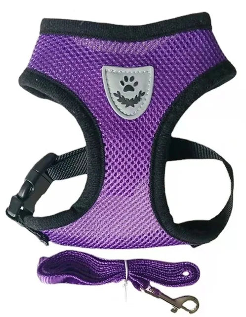 Cat & Dog Harness and Leash Set, Breathable Mesh Vest, Adjustable Reflective, for Small Dogs & Cats