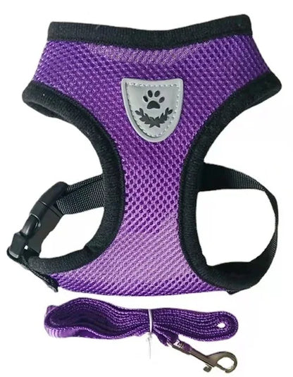 Cat & Dog Harness and Leash Set, Breathable Mesh Vest, Adjustable Reflective, for Small Dogs & Cats