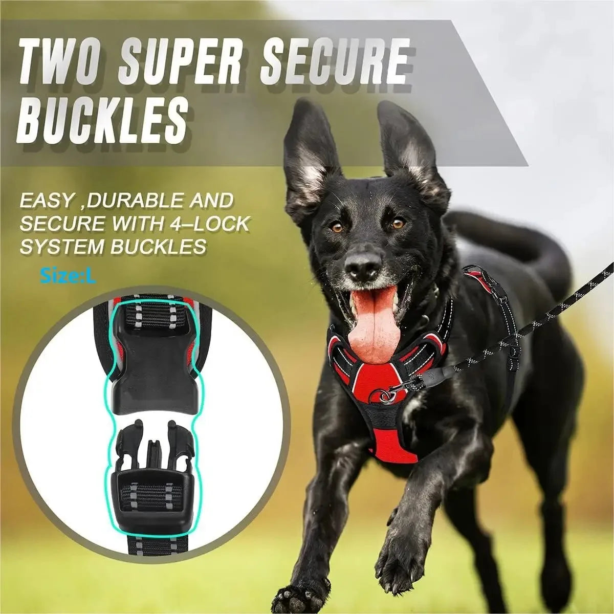 Dog Collar, Harness & Leash Set, Leather Vest for Small, Medium & Large Dogs and Puppies