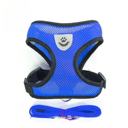 Cat & Dog Harness and Leash Set, Breathable Mesh Vest, Adjustable Reflective, for Small Dogs & Cats