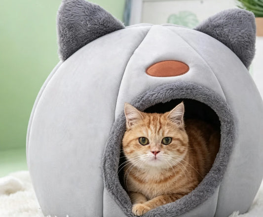 1pc Cute Cat Bed / Winter-Spring Semi-Enclosed Small Bed
