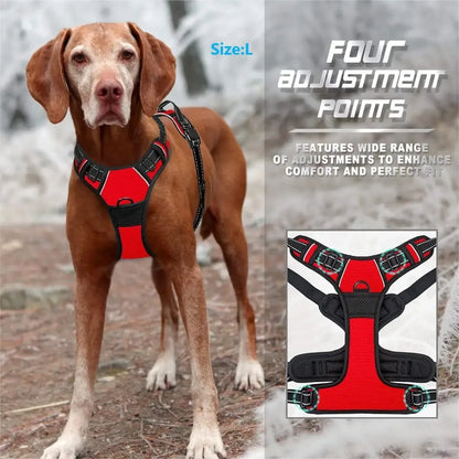Dog Collar, Harness & Leash Set, Leather Vest for Small, Medium & Large Dogs and Puppies