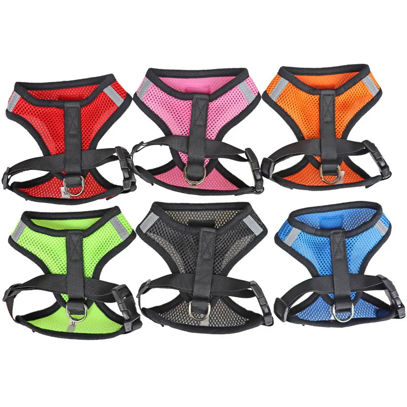 Cat & Dog Harness and Leash Set, Breathable Mesh Vest, Adjustable Reflective, for Small Dogs & Cats