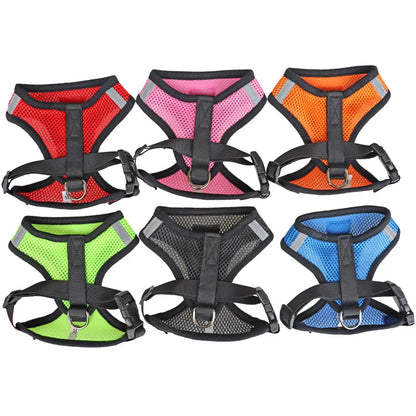 Cat & Dog Harness and Leash Set, Breathable Mesh Vest, Adjustable Reflective, for Small Dogs & Cats