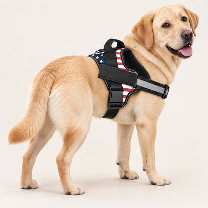 No-Pull Dog Harness | Reflective & Breathable | Wiggle & Whisk