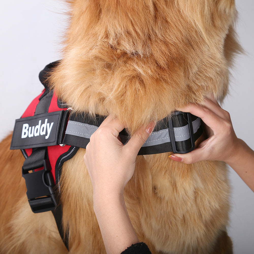 No-Pull Dog Harness | Reflective & Breathable | Wiggle & Whisk