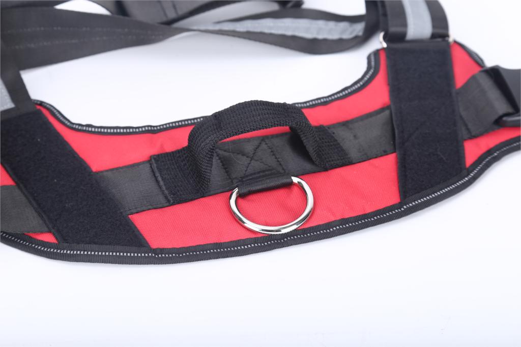 No-Pull Dog Harness | Reflective & Breathable | Wiggle & Whisk