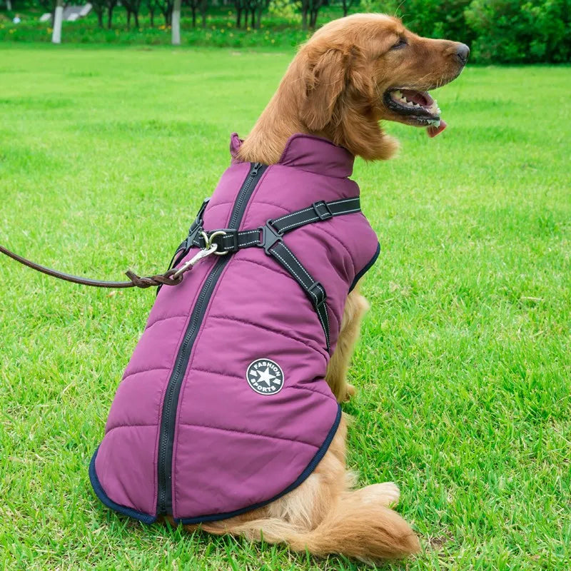 Waterproof Dog Winter Coat with Built-In Harness – Warm & Reflective