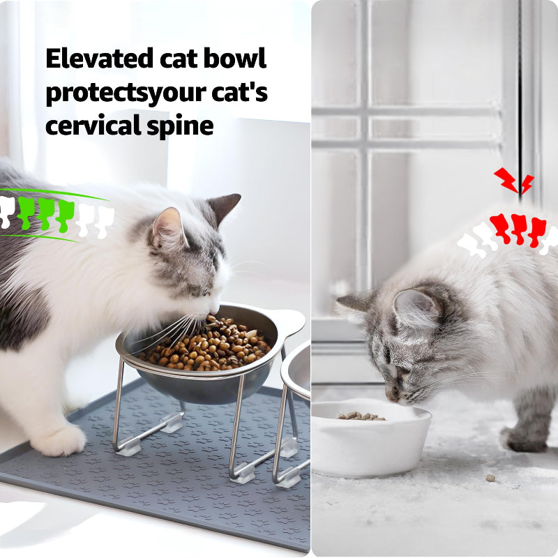 Elevated Stainless Steel Cat Bowl – 15° Tilted Raised Feeder