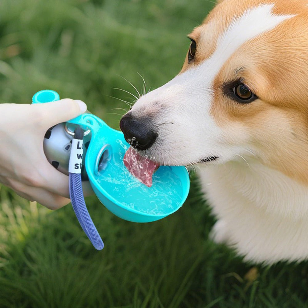 Portable Dog Water Bottle – Leak-Proof Stainless Steel with Fold-Out Bowl