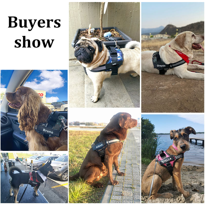 No-Pull Dog Harness | Reflective & Breathable | Wiggle & Whisk