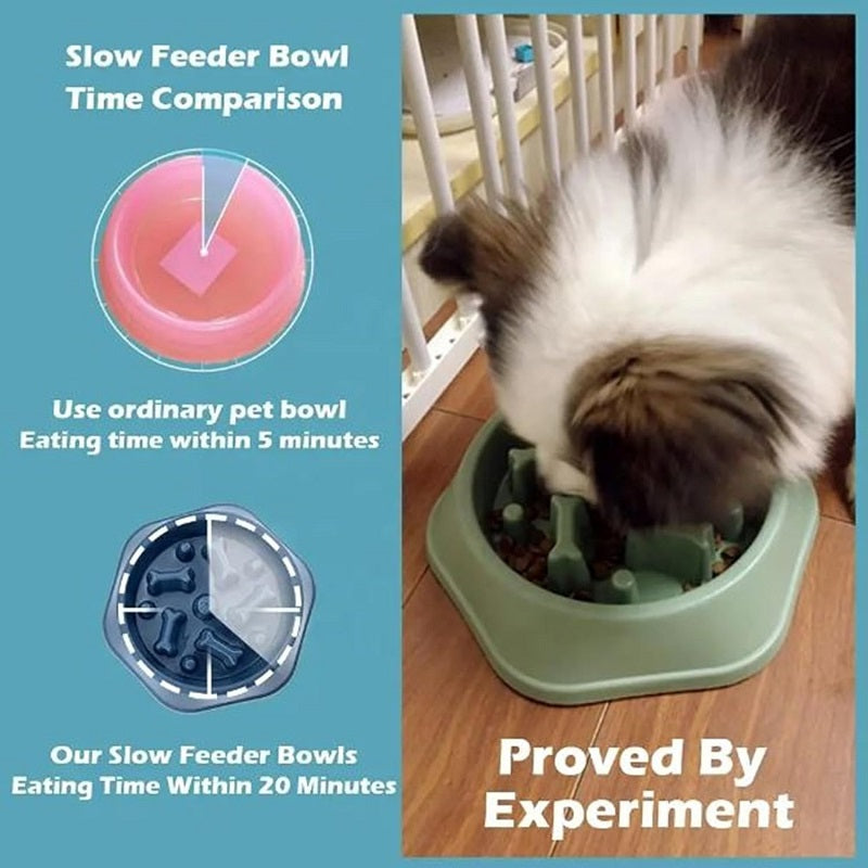 Slow Feeder Dog Bowl – Non-Slip Puzzle Bowl for Fast Eaters