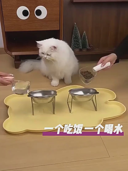 Elevated Stainless Steel Cat Bowl – 15° Tilted Raised Feeder